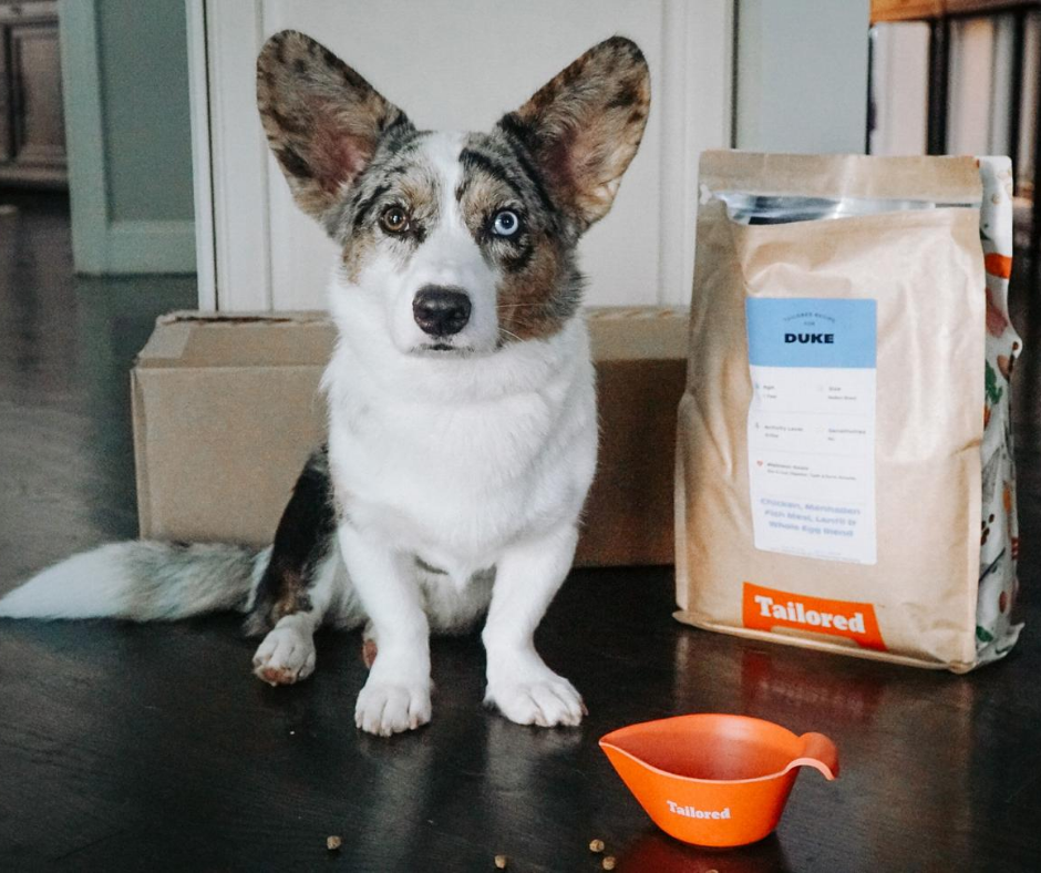 Pure Pet Food Review - Must Read This Before Buying